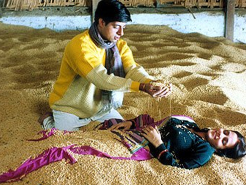 মাত্রুভূমি (২০০৩)পরিচালক-মনীশ ঝা। নারীশূন্য ভূমিতে একমাত্র নারীর প্রতি পাঁচ পুরুষের অধিকার কায়েমের চেষ্টা, গণধর্ষণ, শিশুকন্যার জন্ম এবং অবশেষে পিতৃত্বের অধিকারের লড়াইয়ে্ পরস্পরকে হত্যা। ভারতীয় চলচ্চিত্রের ইতিহাসে নারী বঞ্চনার অন্যতম চিত্রায়ন। নারীশূন্য পৃথিবীর ভয়াবহতাকে তুলে ধরে এই ছবি।ভেনিস চলচ্চিত্র উংসব সহ বহু আন্তর্জাতিক চলচ্চিত্র উত্সবে সমাদৃত।