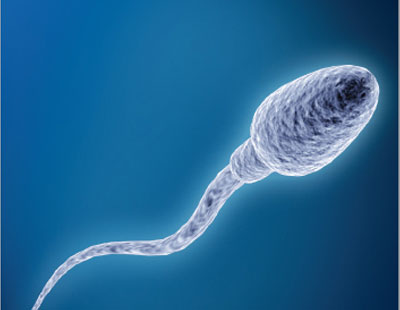 Onlayn porno: Trans ayol er-xotinni sikadi.