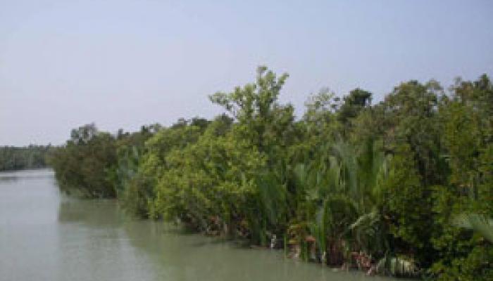 বাঁধ সারাইয়েও তোলাবাজির অভিযোগ তৃণমূলের বিরুদ্ধে বাঁধ সারাইয়েও তোলাবাজির অভিযোগ তৃণমূলের বিরুদ্ধে