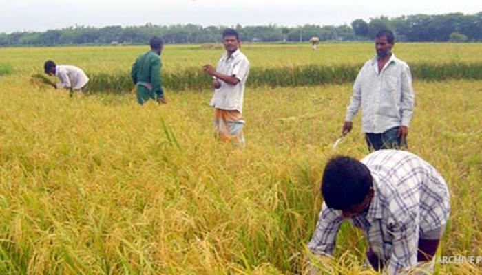 রাসায়নিক সার ব্যবহার না করে জৈব সারে বেশি উত্পাদনের আশ্বাস বিধানচন্দ্র কৃষি বিশ্ববিদ্যালয়ের বিজ্ঞানীদের রাসায়নিক সার ব্যবহার না করে জৈব সারে বেশি উত্পাদনের আশ্বাস বিধানচন্দ্র কৃষি বিশ্ববিদ্যালয়ের বিজ্ঞানীদের