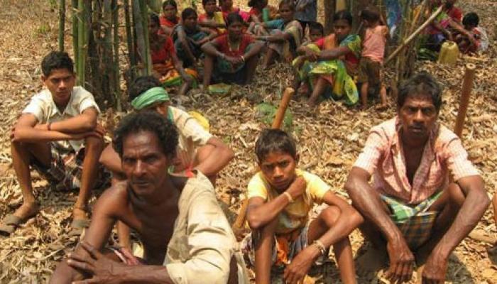 চোরাশিকারিদের রুখে জঙ্গলমহলে বাড়ছে সজারু, ময়ূরের সংখ্যা চোরাশিকারিদের রুখে জঙ্গলমহলে বাড়ছে সজারু, ময়ূরের সংখ্যা