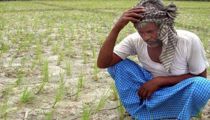 বন্ধ একশো দিনের কাজ, তাই কাজের খোঁজে ভীনরাজ্যে পাড়ি দিচ্ছেন পুরুলিয়া চাষিরা বন্ধ একশো দিনের কাজ, তাই কাজের খোঁজে ভীনরাজ্যে পাড়ি দিচ্ছেন পুরুলিয়া চাষিরা