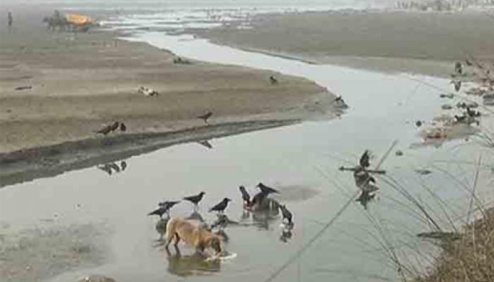 উত্তরপ্রদেশের গঙ্গায় ভাসছে ১০০ টি দেহ, তদন্তের নির্দেশ উত্তরপ্রদেশের গঙ্গায় ভাসছে ১০০ টি দেহ, তদন্তের নির্দেশ