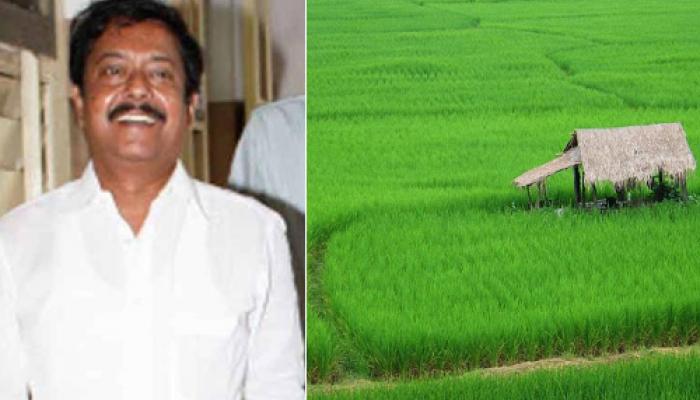 কেন্দ্র টাকা না দেওয়ায় ধান সংগ্রহে সমস্যা রাজ্যের কেন্দ্র টাকা না দেওয়ায় ধান সংগ্রহে সমস্যা রাজ্যের