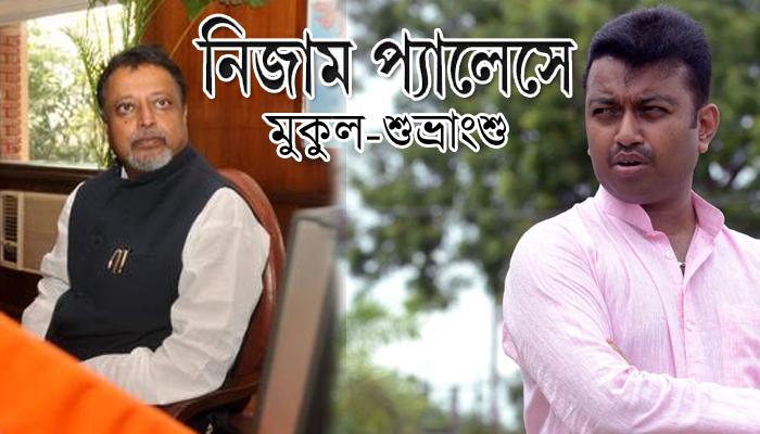 মুকুলের ভবিষ্যৎ কী? মুকুলের ভবিষ্যৎ কী?