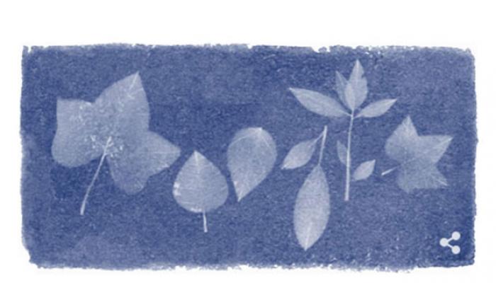 ব্রিটিশ বোটানিস্ট অ্যানা অ্যাটকিংসকে গুগলের ডুডলিং শ্রদ্ধার্ঘ ব্রিটিশ বোটানিস্ট অ্যানা অ্যাটকিংসকে গুগলের ডুডলিং শ্রদ্ধার্ঘ
