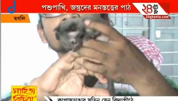 পশু-পাখিদের নিয়ে মনস্তত্ত্ব পড়াতে মজার কর্মশালা হুগলীর স্কুলে পশু-পাখিদের নিয়ে মনস্তত্ত্ব পড়াতে মজার কর্মশালা হুগলীর স্কুলে