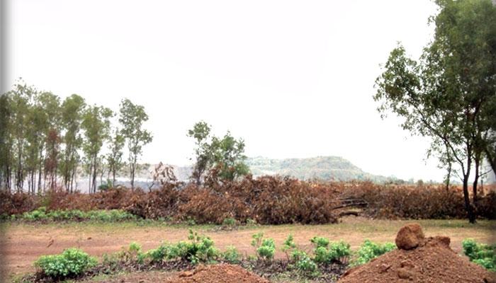 নদী দখল করে আসানসোলে বাড়ি তৈরির দাদাগিরি জমি মাফিয়া, প্রোমোটারদের নদী দখল করে আসানসোলে বাড়ি তৈরির দাদাগিরি জমি মাফিয়া, প্রোমোটারদের