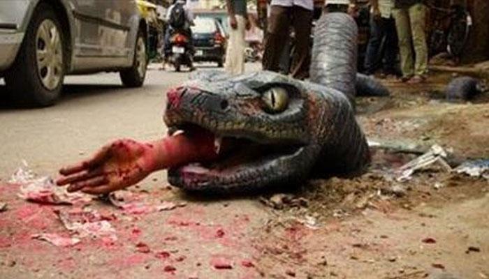 বাগানের শহরের রাস্তায় ঘুরছে অ্যানাকন্ডা, অভিনব প্রতিবাদের পথ দেখালো বেঙ্গালুরু বাগানের শহরের রাস্তায় ঘুরছে অ্যানাকন্ডা, অভিনব প্রতিবাদের পথ দেখালো বেঙ্গালুরু