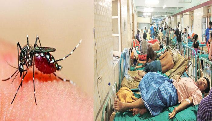 রাজ্যে ভয়াবহ আকার নিচ্ছে ডেঙ্গি রাজ্যে ভয়াবহ আকার নিচ্ছে ডেঙ্গি