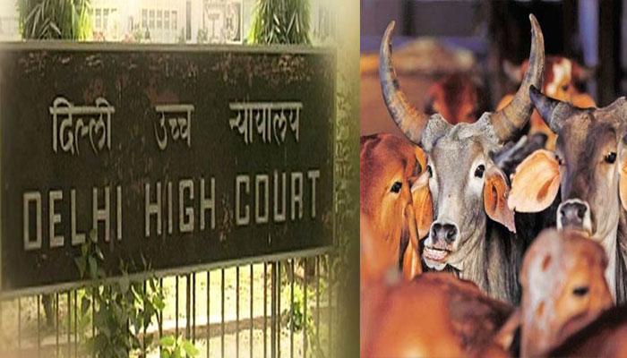 গোমাংসের ওপর নিষেধাজ্ঞার আবেদন খারিজ দিল্লি হাইকোর্টে গোমাংসের ওপর নিষেধাজ্ঞার আবেদন খারিজ দিল্লি হাইকোর্টে