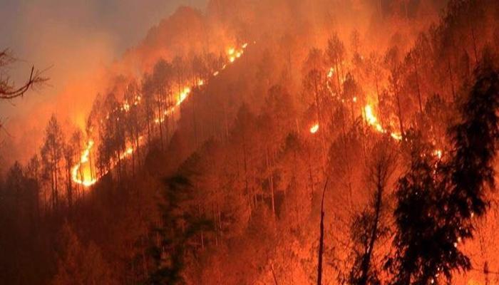 কিছুতেই থামছে না উত্তরাখণ্ডের দাবানল কিছুতেই থামছে না উত্তরাখণ্ডের দাবানল