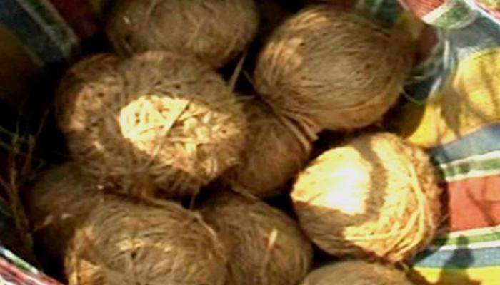 নদিয়ার শিকারপুরে সিপিএম সমর্থকের বাড়ির সামনে থেকে তাজা বোমা উদ্ধার নদিয়ার শিকারপুরে সিপিএম সমর্থকের বাড়ির সামনে থেকে তাজা বোমা উদ্ধার