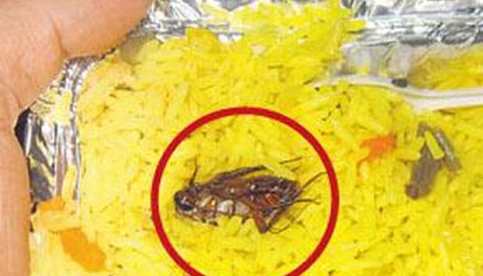 এবার শতাব্দী এক্সপ্রেসের খাবারে মিলল আরশোলা! এবার শতাব্দী এক্সপ্রেসের খাবারে মিলল আরশোলা!