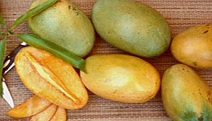 দুবাই-হংকংয়ে দেদার বিক্রি হচ্ছে বাঁকুড়ার আম দুবাই-হংকংয়ে দেদার বিক্রি হচ্ছে বাঁকুড়ার আম