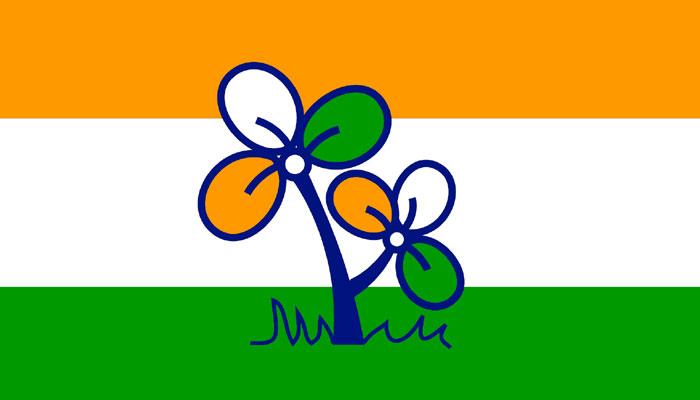 তৃণমূলে যোগ দিতে আপত্তি করায় পঞ্চায়েত সদস্য এবং তাঁর স্বামীকে বেধড়ক মারধরের অভিযোগ তৃণমূলে যোগ দিতে আপত্তি করায় পঞ্চায়েত সদস্য এবং তাঁর স্বামীকে বেধড়ক মারধরের অভিযোগ