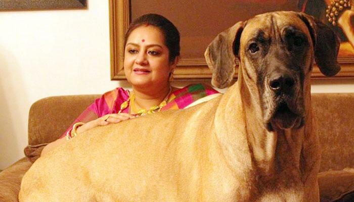 আধুনিক বাঙালির হেঁশেলের মুখ সুদীপা আধুনিক বাঙালির হেঁশেলের মুখ সুদীপা