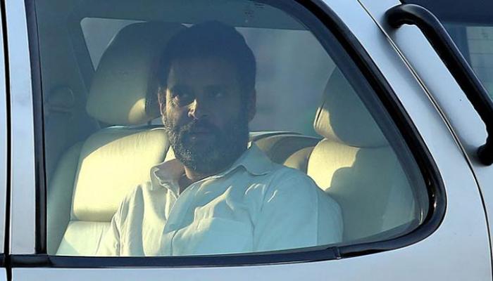 জামিন পেলেন রাহুল গান্ধী জামিন পেলেন রাহুল গান্ধী