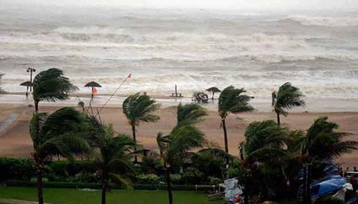 হ্যাভলক আর নীল দ্বীপ নিয়ে আপাতত দুশ্চিন্তামুক্ত বাঙালি হ্যাভলক আর নীল দ্বীপ নিয়ে আপাতত দুশ্চিন্তামুক্ত বাঙালি