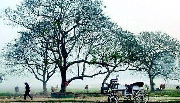 ঠান্ডা বাড়াবে, আরও কিছুদিন থাকছে শীত ঠান্ডা বাড়াবে, আরও কিছুদিন থাকছে শীত