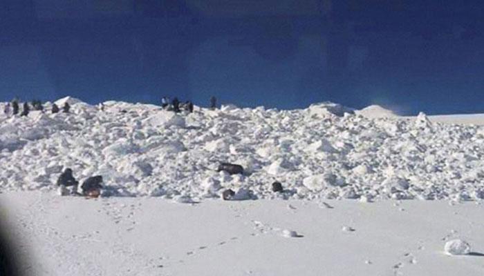 কাশ্মীরে জোড়া তুষারধসে মৃত ১০ সেনা জওয়ান কাশ্মীরে জোড়া তুষারধসে মৃত ১০ সেনা জওয়ান