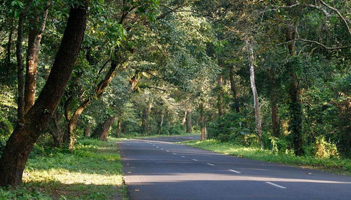 ২০১৬-১৭ অর্থবর্ষে রাজ্যের গ্রামাঞ্চলে লক্ষ্যমাত্রার তুলনায় রাস্তা হয়েছে কম ২০১৬-১৭ অর্থবর্ষে রাজ্যের গ্রামাঞ্চলে লক্ষ্যমাত্রার তুলনায় রাস্তা হয়েছে কম