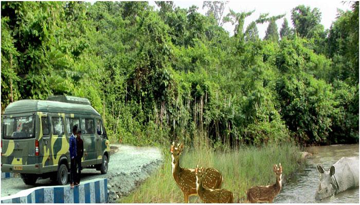 বেঙ্গল সাফারি পার্কে অন্য রূপে বন্যরা বেঙ্গল সাফারি পার্কে অন্য রূপে বন্যরা