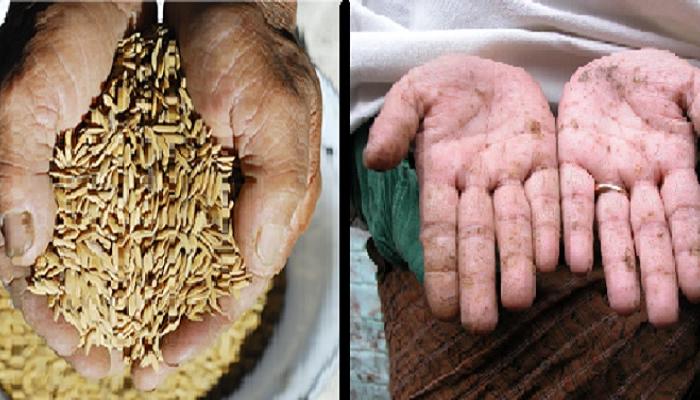 এবার ভাতের থালায় থাবা বসাচ্ছে ভয়ঙ্কর আর্সেনিক! এবার ভাতের থালায় থাবা বসাচ্ছে ভয়ঙ্কর আর্সেনিক!