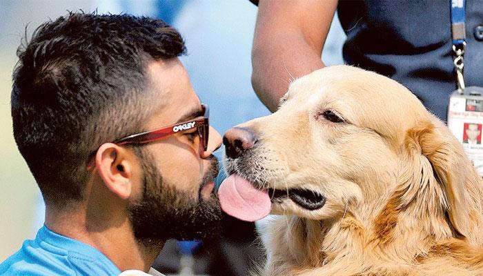 ক্রিকেটারদের জন্য 'স্পেশাল পে'-র ব্যবস্থা, বিরাট প্রস্তাবে সায় বিসিসিআইয়ের ক্রিকেটারদের জন্য 'স্পেশাল পে'-র ব্যবস্থা, বিরাট প্রস্তাবে সায় বিসিসিআইয়ের