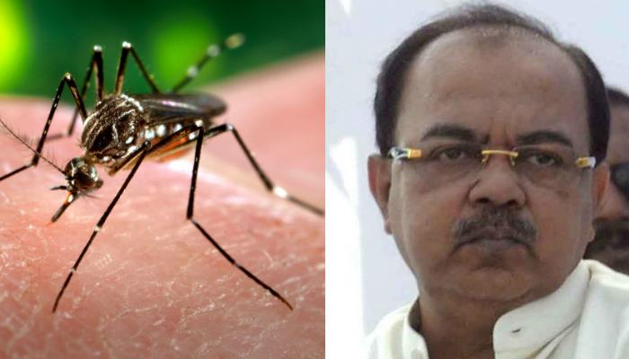 ডেঙ্গি সেভাবে ছড়ায়নি, অপ্রচার চলছে, দাবি কলকাতার মেয়রের ডেঙ্গি সেভাবে ছড়ায়নি, অপ্রচার চলছে, দাবি কলকাতার মেয়রের