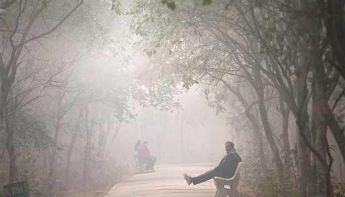 অবশেষে বঙ্গে শীতের 'বাইট', এক লাফে পারদ নামল ৫ ডিগ্রি অবশেষে বঙ্গে শীতের 'বাইট', এক লাফে পারদ নামল ৫ ডিগ্রি