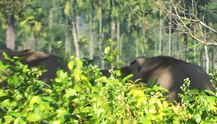 ২৪ ঘণ্টা ডট কমের খবরের জেরে সাইকেল পেল বাস্তবের 'দামু' ২৪ ঘণ্টা ডট কমের খবরের জেরে সাইকেল পেল বাস্তবের 'দামু'