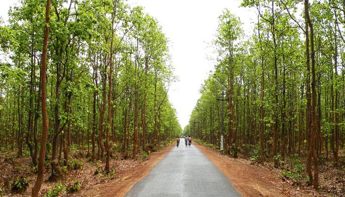 বর্ষশেষে ছুটির ডেস্টিনেশন হোক কাঁকড়াঝোর জঙ্গল বর্ষশেষে ছুটির ডেস্টিনেশন হোক কাঁকড়াঝোর জঙ্গল
