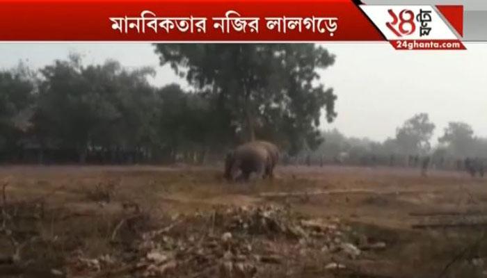 তারস্বরে চেঁচিয়ে গ্রামবাসীকে অঘটনের বার্তা দিল দুই দাঁতাল তারস্বরে চেঁচিয়ে গ্রামবাসীকে অঘটনের বার্তা দিল দুই দাঁতাল