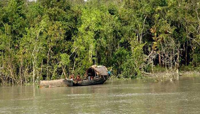 মত্স্যজীবীকে জঙ্গলে টেনে নিয়ে গেল বাঘ মত্স্যজীবীকে জঙ্গলে টেনে নিয়ে গেল বাঘ