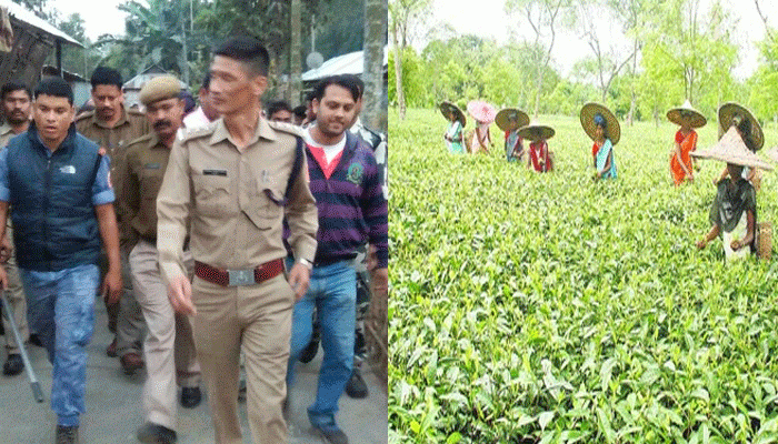 দোলের আগে চা-বাগান থেকে উদ্ধার আসল জিনিস.. দোলের আগে চা-বাগান থেকে উদ্ধার আসল জিনিস..