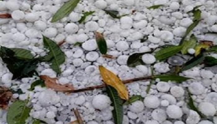 উত্তরবঙ্গে নাগাড়ে শিলাবৃষ্টি, সপ্তাহান্তে ভারী বৃষ্টিতে ভিজতে পারে দক্ষিণবঙ্গও উত্তরবঙ্গে নাগাড়ে শিলাবৃষ্টি, সপ্তাহান্তে ভারী বৃষ্টিতে ভিজতে পারে দক্ষিণবঙ্গও