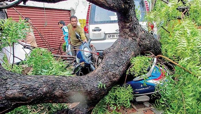 প্রবল ধুলোঝড়ে লণ্ডভণ্ড রাজস্থান, বিধ্বস্ত উত্তরপ্রদেশ, মৃত শতাধিক প্রবল ধুলোঝড়ে লণ্ডভণ্ড রাজস্থান, বিধ্বস্ত উত্তরপ্রদেশ, মৃত শতাধিক