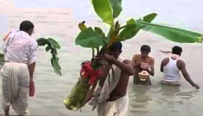 সপ্তমীতে উত্সবের সপ্তসুর, নবপত্রিকা স্নানে শুরু পুজোর উপাচার সপ্তমীতে উত্সবের সপ্তসুর, নবপত্রিকা স্নানে শুরু পুজোর উপাচার
