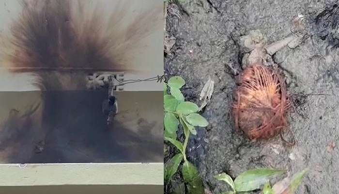 শাসকদলের গোষ্ঠীসংঘর্ষে উত্তপ্ত সাঁইথিয়া, গুলিবিদ্ধ তৃণমূল কর্মী শাসকদলের গোষ্ঠীসংঘর্ষে উত্তপ্ত সাঁইথিয়া, গুলিবিদ্ধ তৃণমূল কর্মী